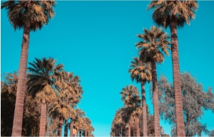 Arizona Top Tourist Attractions Arizona Top Tourist Attractions